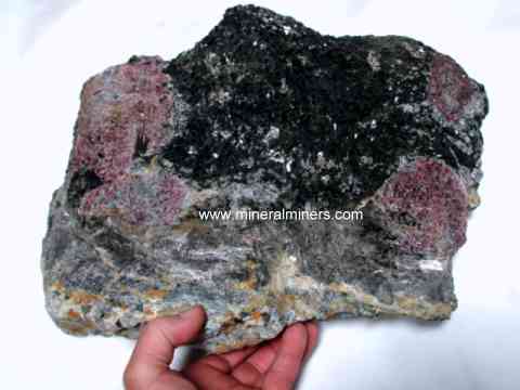 Garnet in Matrix Spectacular Decorator Specimens