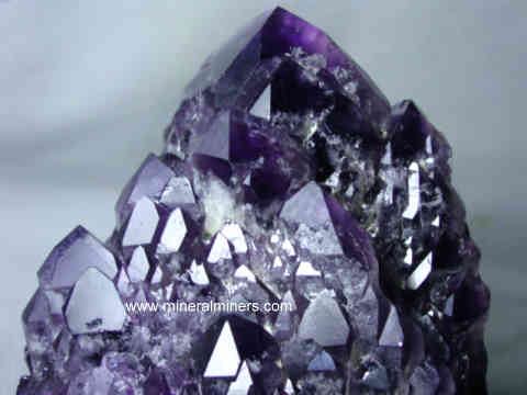 Large Amethyst Decorator Mineral Specimen: Large Amethyst Decorator Crystal Specimens