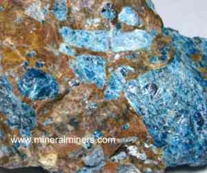 Blue Apatite Crystals in Jasper Rough