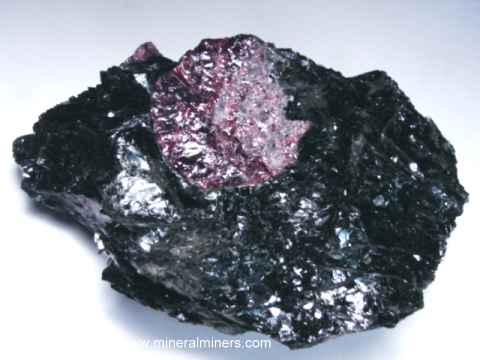 Biotite Mica Schist Matrix Mineral Specimens