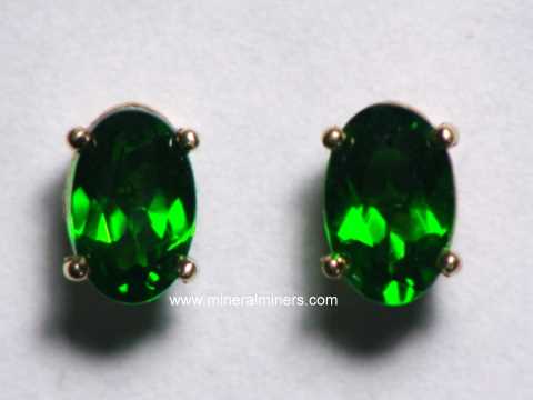 Chrome Diopside Earrings