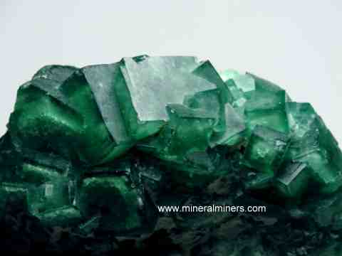 Fluorite Crystals: Fluorite Mineral Specimens