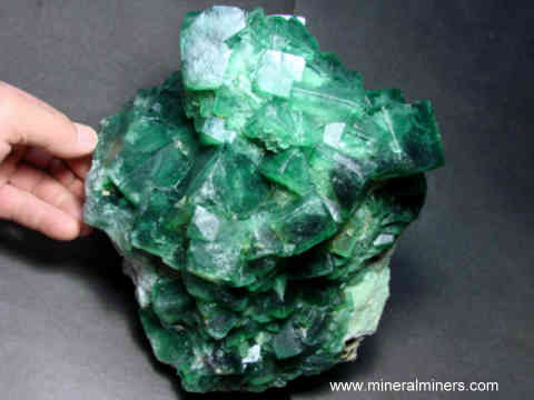 Fluorite Decorator Specimen