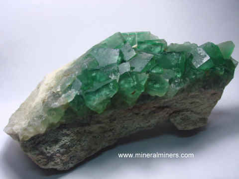 Fluorite Mineral Specimen: fluorite crystals on matrix