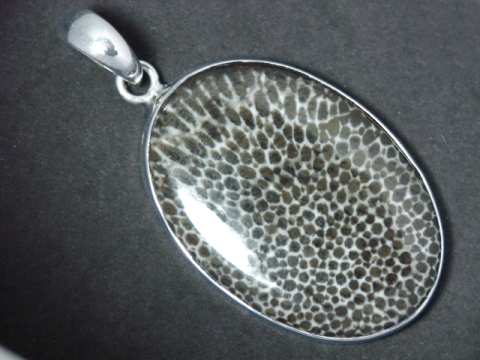 Real store fossil jewelry