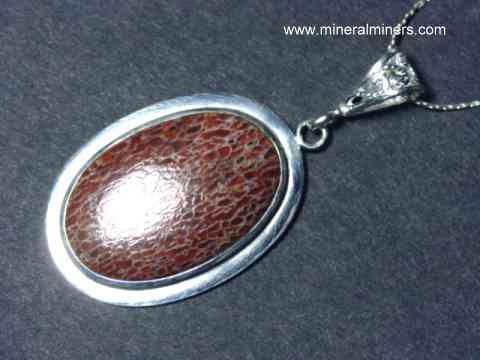 Fossil Jewelry: Fossilized Ammonite Necklaces, Trilobite Rings & Fossil  Coral Pendants
