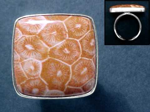 Fossilized Coral Rings