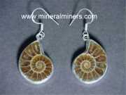 Fossil Jewelry: fossil earrings