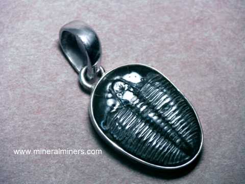 Fossil Trilobite Jewelry