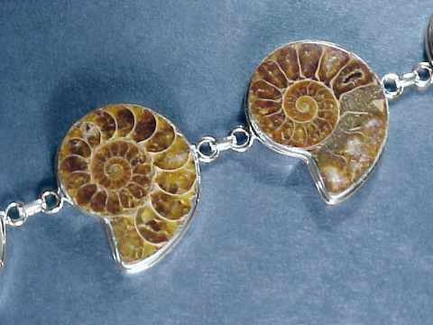 Fossilized Ammonite Bracelet