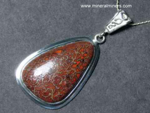 Fossil Dinosaur Bone Jewelry