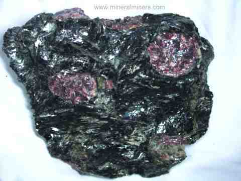 Garnet Crystals in Matrix