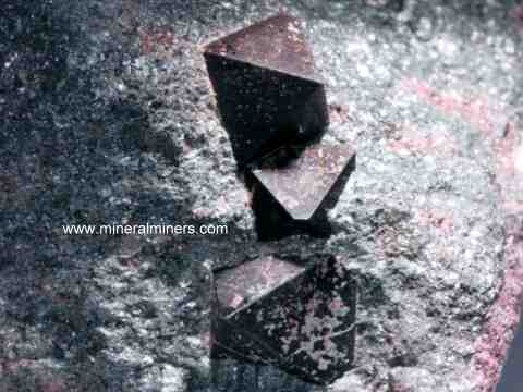 Magnetite Crystals in Schist Matrix