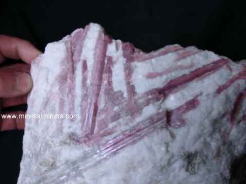 Decorator Minerals and Crystals: pink tourmaline crystals in white albite matrix
