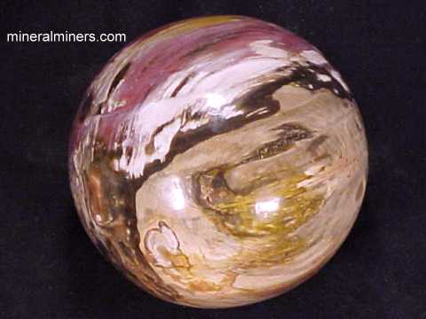 Petrified Wood Sphere