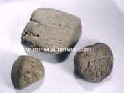 Pummice Specimens