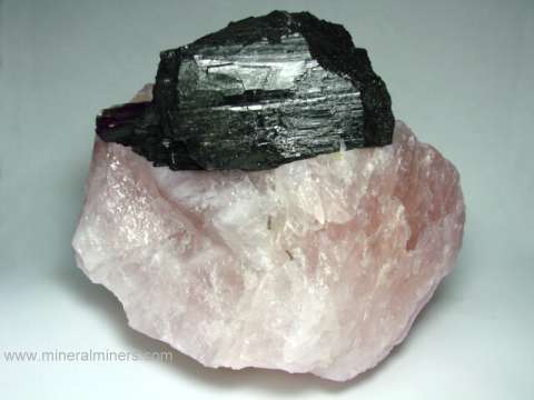 Rose quartz with black tourmaline discount