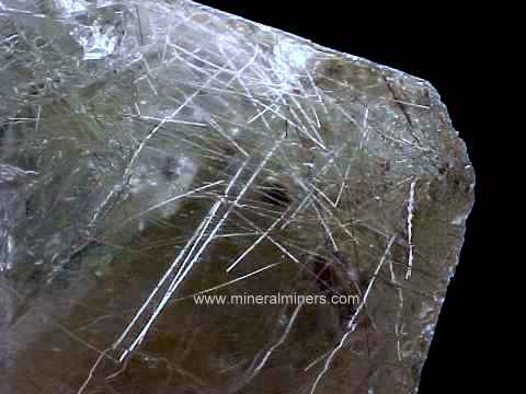 Rutilated Quartz Mineral Specimens