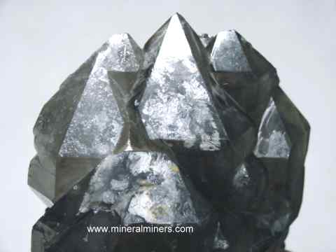 Elestial Quartz Crystals: natural jacare quartz crystals from Brazil