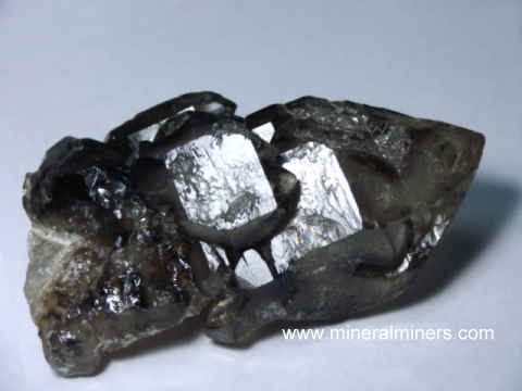 Elestial Quartz Crystal: natural jacare quartz crystal from Brazil