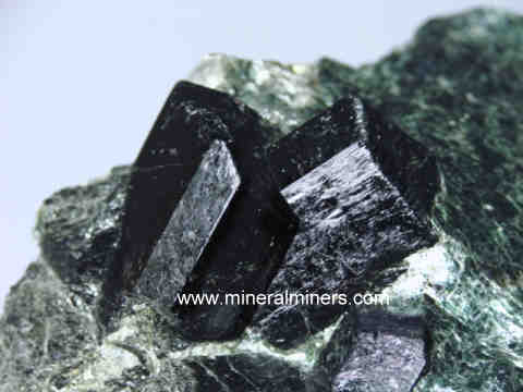 Black Tourmaline Crystals in Pegmatite Matrix