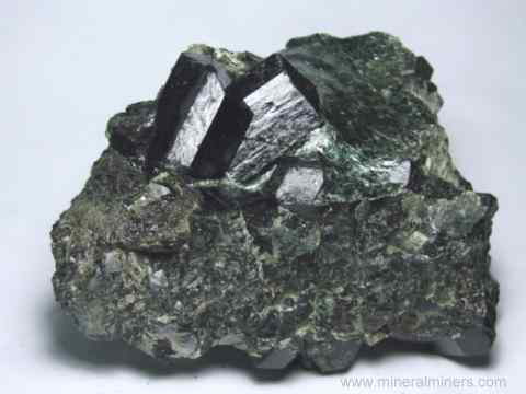 Black Tourmaline in Schist Specimen: Item tbkm545