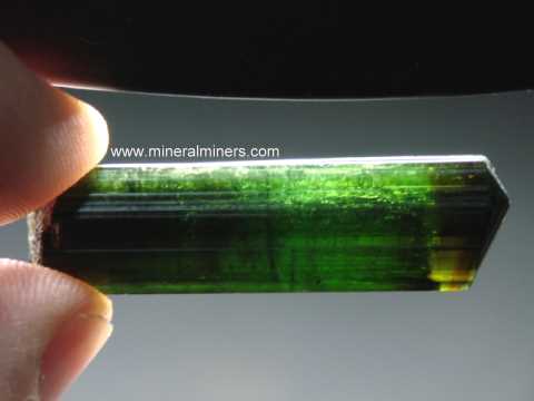 Collector Quality Green Tourmalines