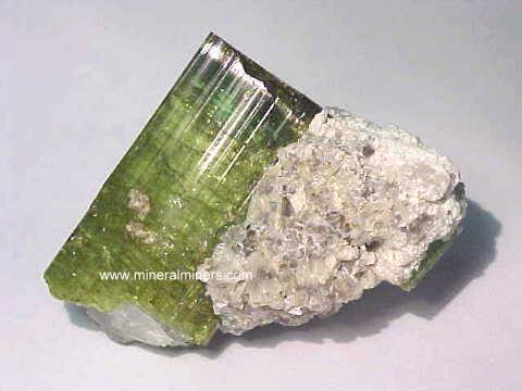Green Tourmaline Mineral Specimens