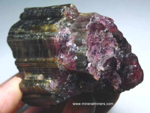 Watermelon Tourmaline Mineral Specimen